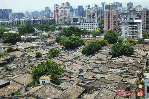 2025年奥门原料免费资料