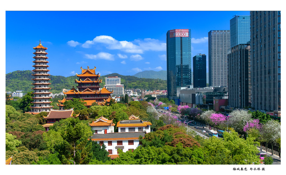 2025年奥门原料免费资料